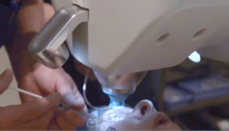 Cataract Awareness Month