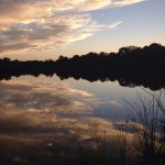 Linda Gilliam - Photographer