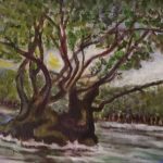 tree surrounded by water
