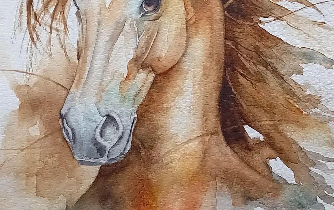 June Artist of the Month: Anne Allen